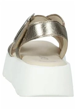 Gabor Riemensandalette - Puder -Gabor 08f02f6e0bd142a0803d1aa172781aed